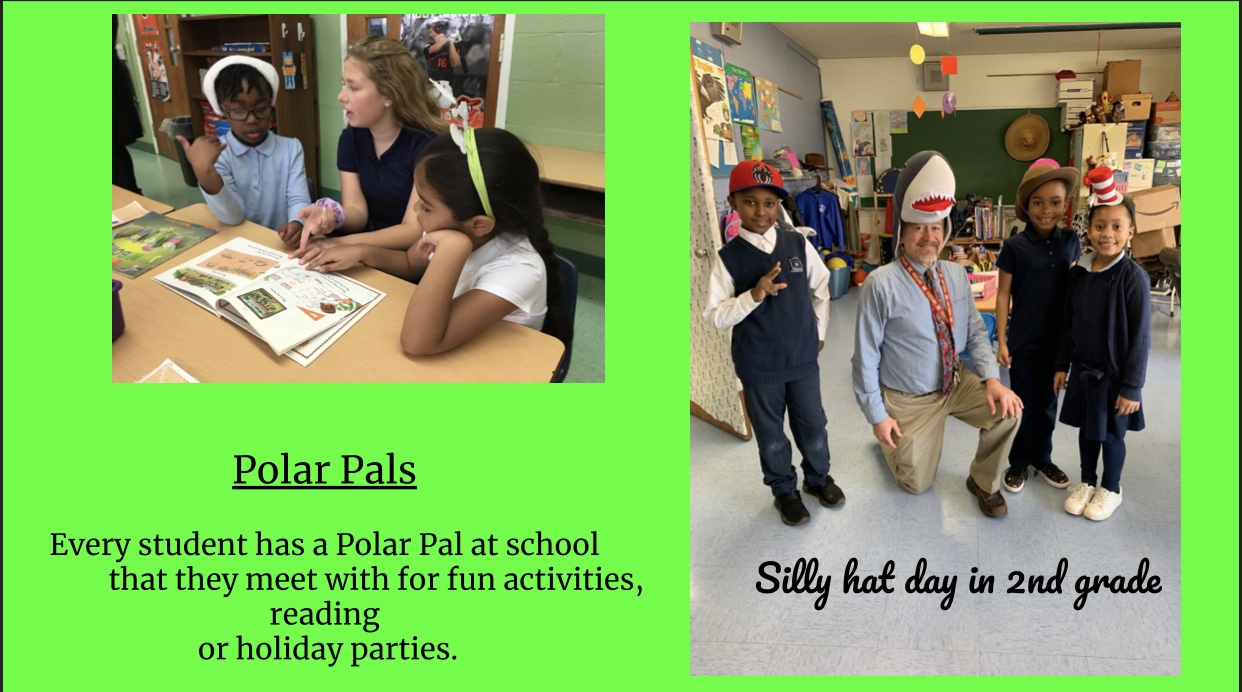 Polar pals